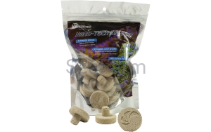 Maxspect Nano-Tech Bio-Plug podstawki na szczepki 25szt