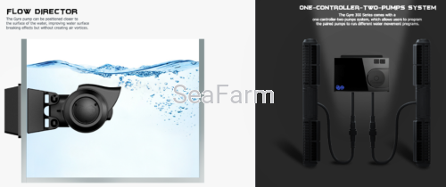 Gyre-300-2.png