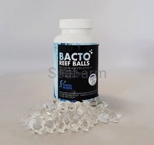 Fauna Marin Bacto Reef Balls SeaFarm.jpg