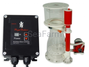 Royal Exclusiv Bubble King Double Cone 200 + RD3 Speedy