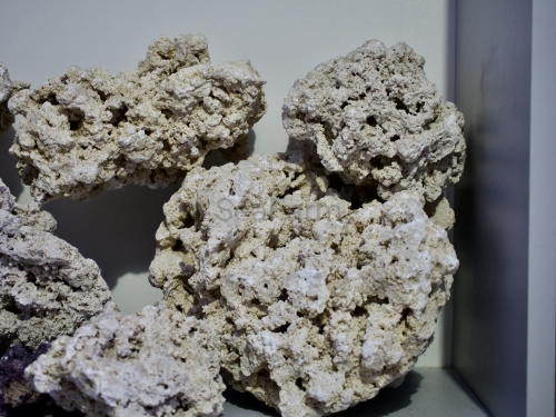 5B8DBDA1-5700-4F06-888E-2FA6AEDE9403_1_201_a.jpeg