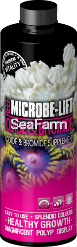 csm_EN_IODIDE_16oz_RGB_385e78ce22.png