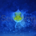 Valenciennea strigata seafarm.jpg