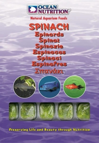 spinach.jpg