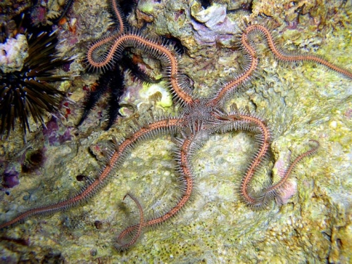 4ed1b48863e1c713ded5d43f55d23f5a70ff27ea