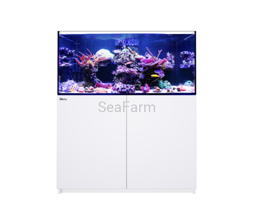 Red_Sea_REEFER_350_white.jpg