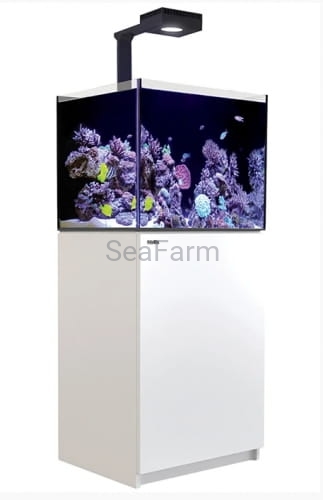 Screenshot_4 (1).jpg