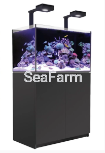 Red Sea Reefer 250 Deluxe Czarny