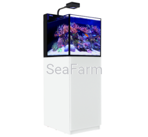 Red Sea Max Nano Reef System 75l biały z szafką