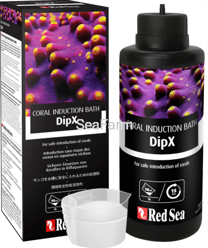 dipx-box-bottle-2.png