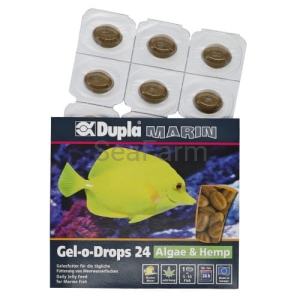 Dupla Gel-o-Drops 24 Algae&Hemp pokarm w żelu