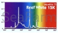 big_T5_reef_white_15K.jpg