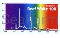 big_T5_reef_white10K.jpg