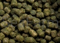 zoomed.jpg