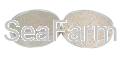 BioSand4.png