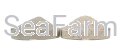BioSand3.png