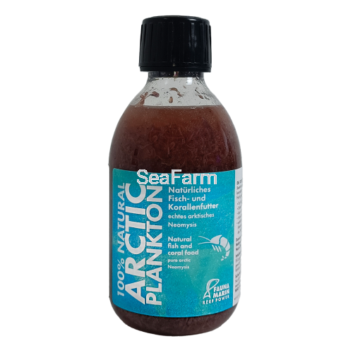 Fauna Marin Arctic_Plankton_1.png
