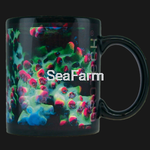 Kubek "Strawberry shortcake" Acropora