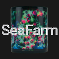 motivtasse-strawberry-shortcake-acropora~4.png