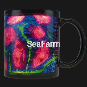 Kubek "Melting watermelon" Favia