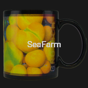 Kubek "Bubble bounce" Mushroomcoral