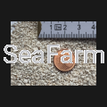 white-sand-1-2mm-5kg~2.png