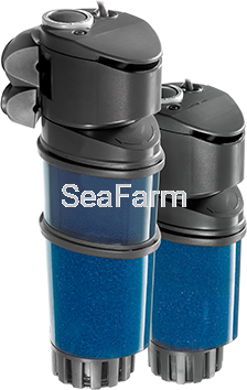 Jolly_Sequenza 1 SMALL.png