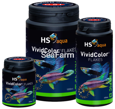 Vivid-Color-400x378.png
