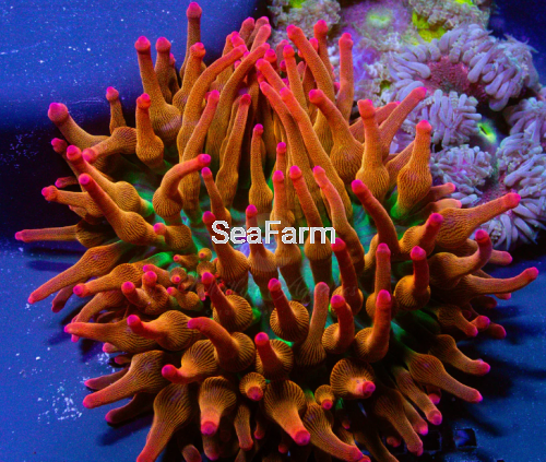 Zrzut ekranu 2026-04-15 171410.png