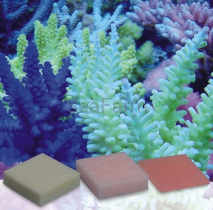 Korallen-Zucht Automatic Elements Pohl's K - Balance 10 szt  