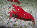 f54060c912af5feb7d2984e1be8cad2799b9335b
