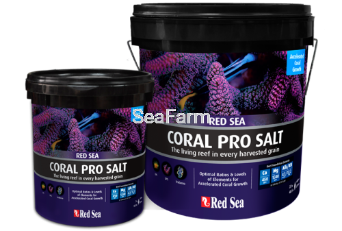 Coral-Pro-Salt.png